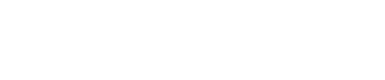 Fister Finance logo with shield icon.